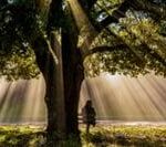 KatyChrist Foundation.jpg_t